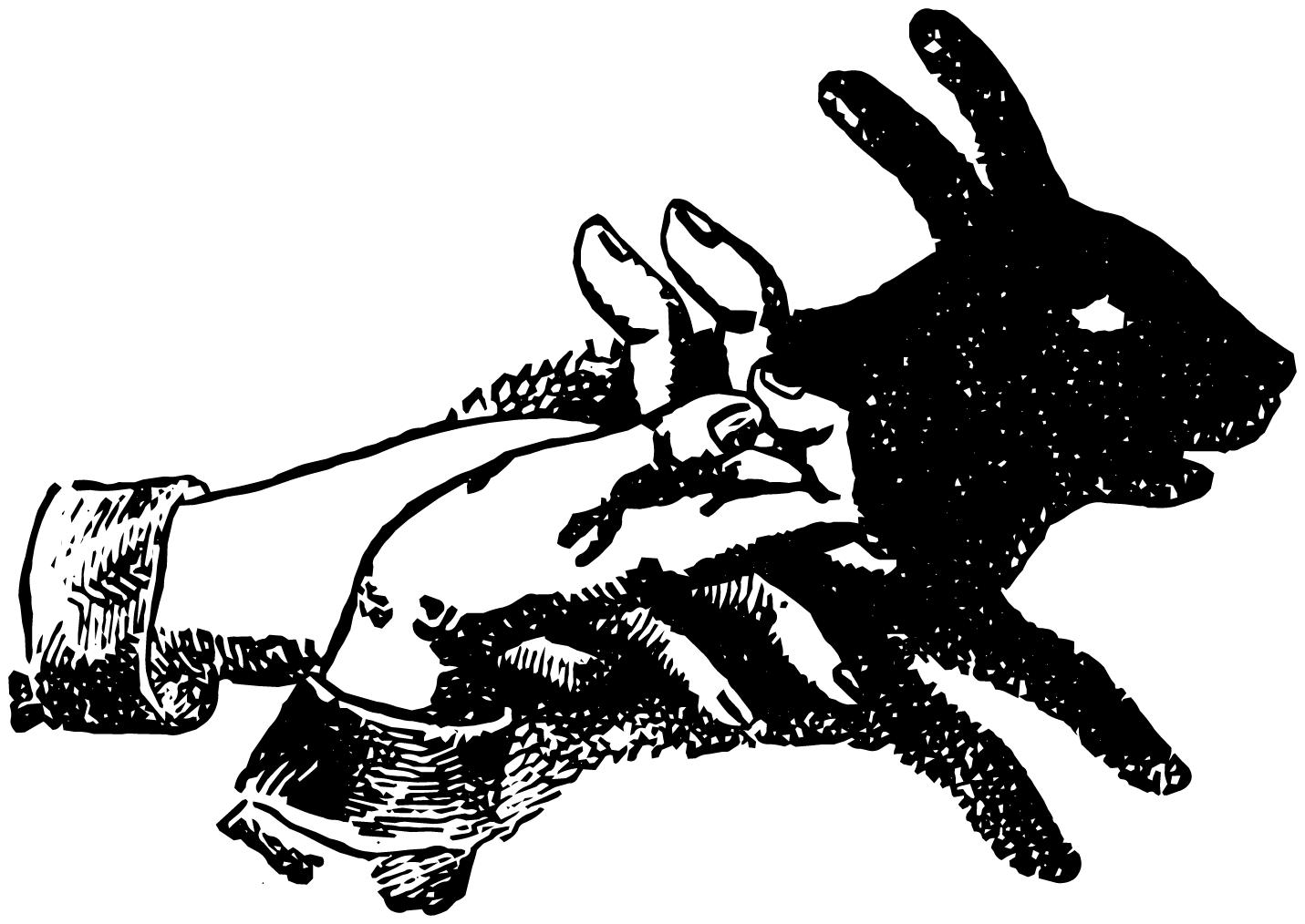 Headshot of a young woman