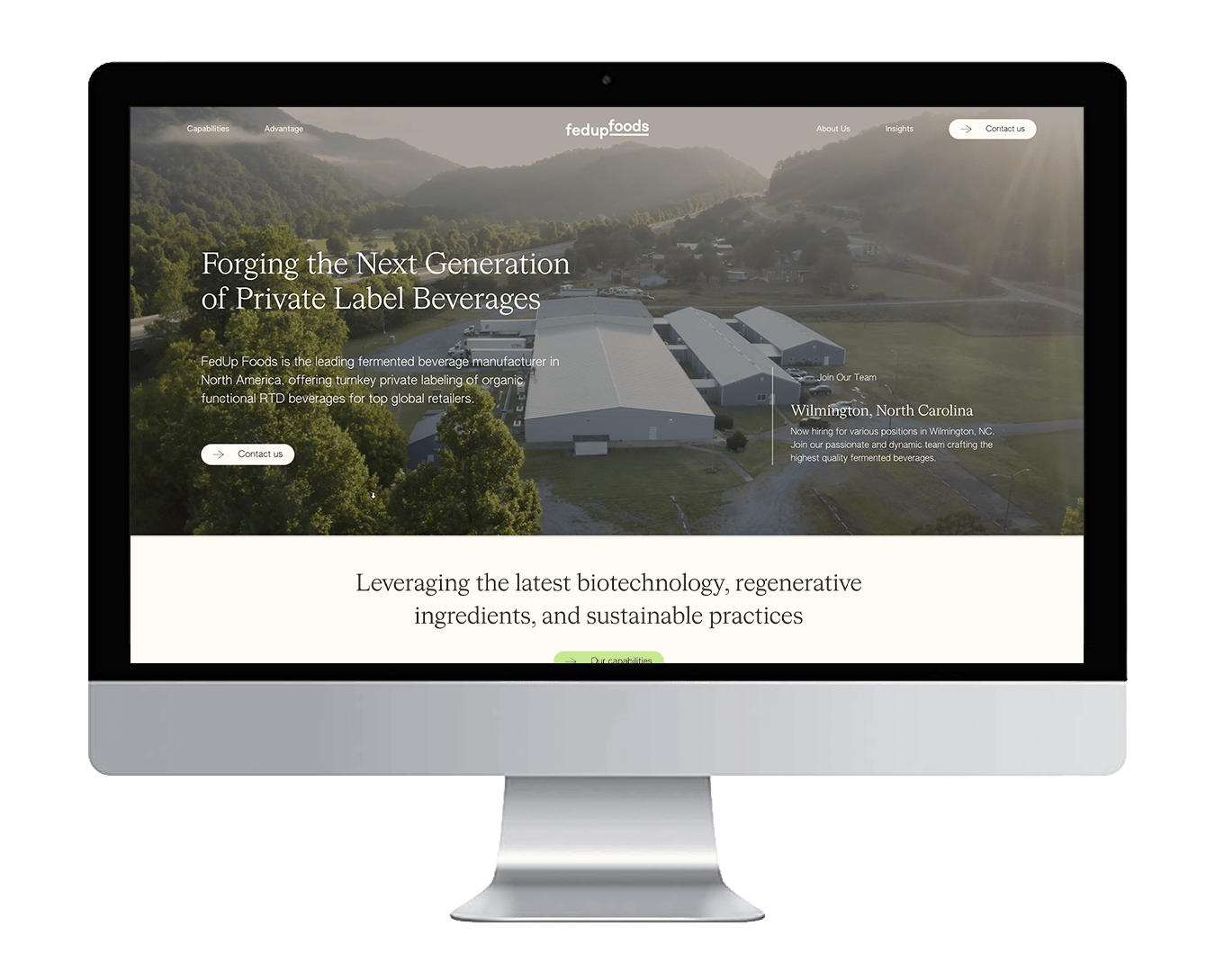 Illustration of shells
