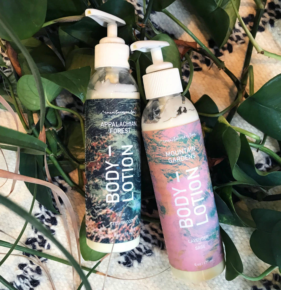 Illustration of shells
