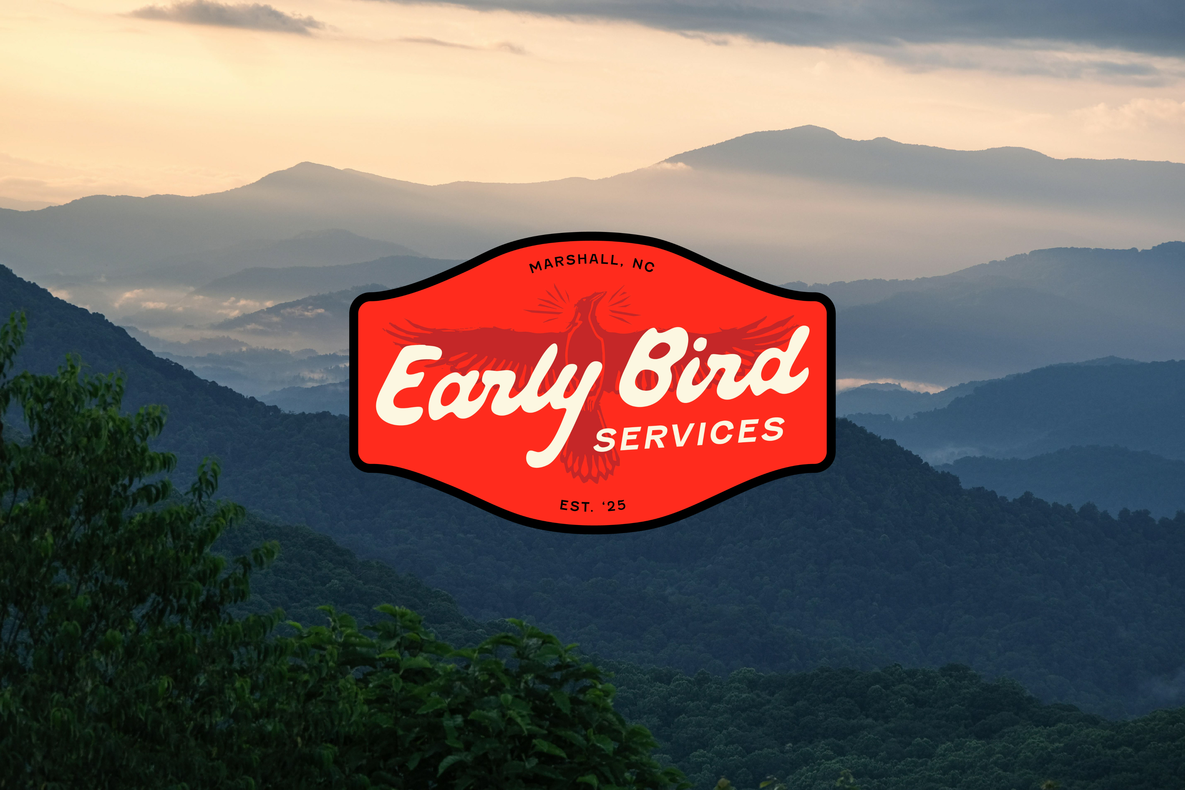 Illustration of shells
